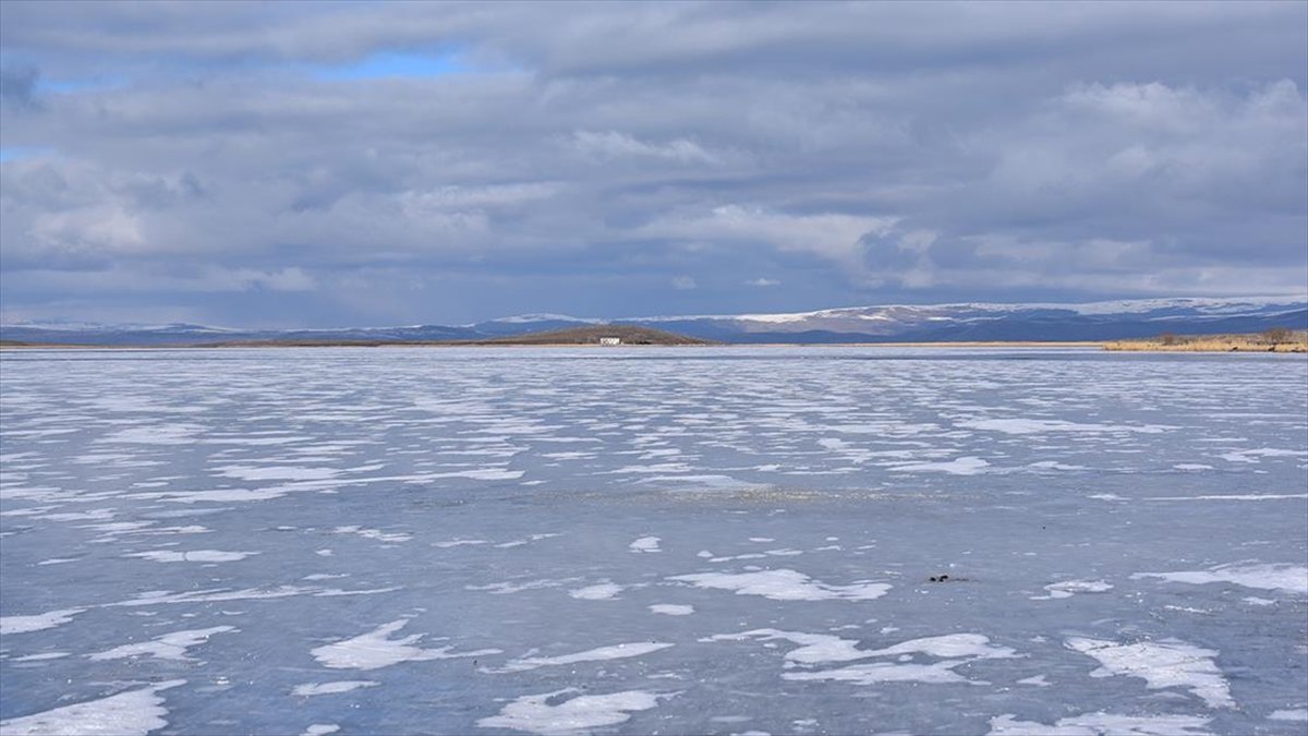 Kars, Ağrı ile Ardahan'da dere ve göletler buz tuttu