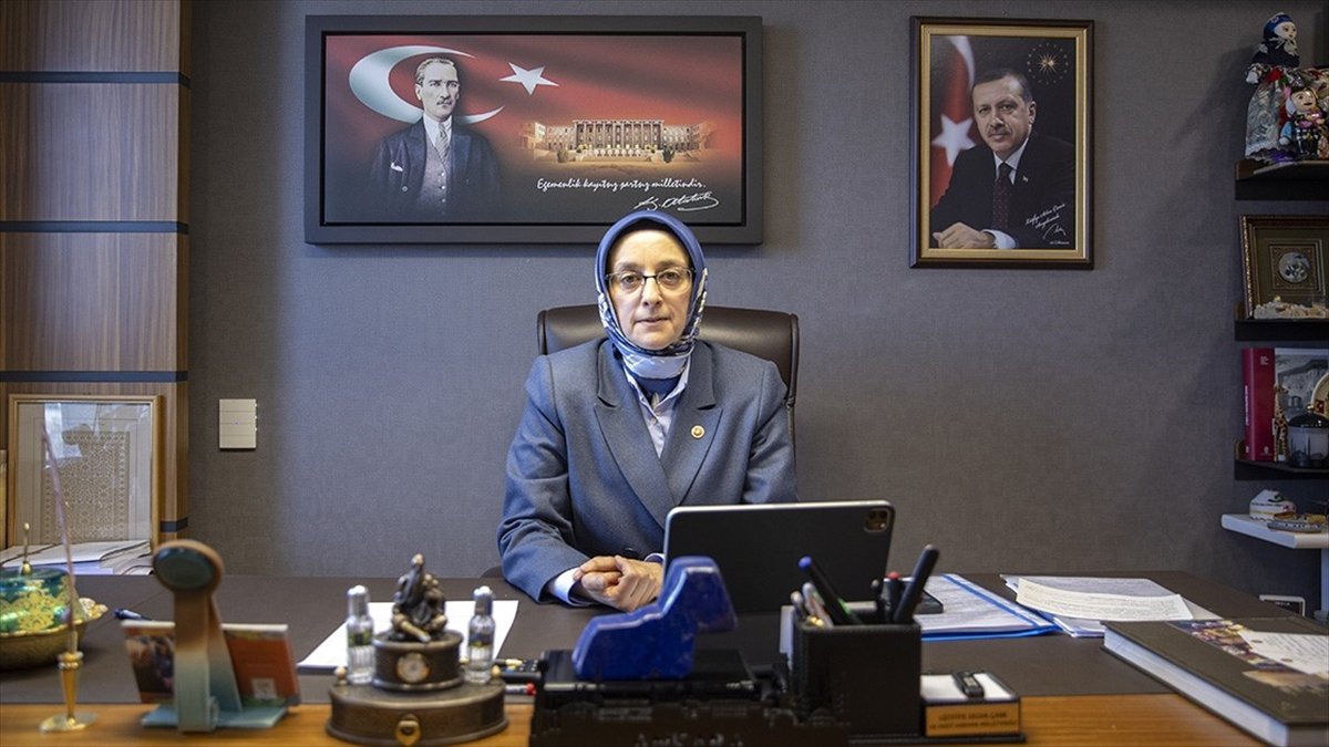 AK Parti'li Çam'dan, CHP'li Çeviköz'ün “başörtülü ve başı açık kadın” paylaşımına tepki