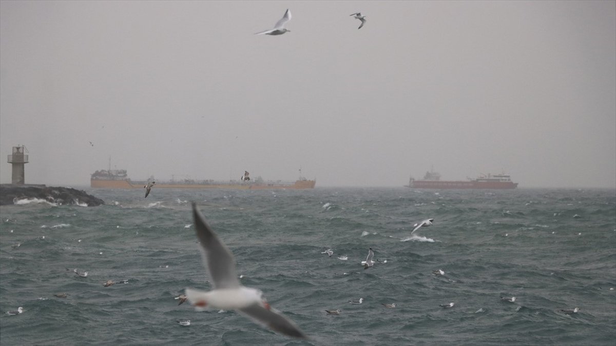 İstanbul'da vapur seferlerine lodos engeli