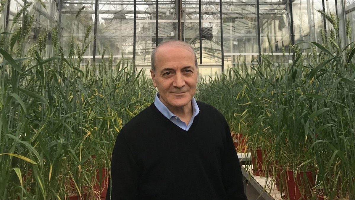 Prof. Dr. İsmail Çakmak, “Dünyanın En Etkili Bilim İnsanları” listesinde Türkiye'den birinci seçildi