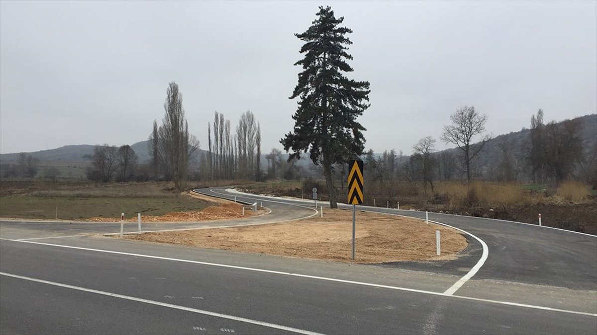 Yol planında revize yapıp kesmek yerine ağacı korumaya aldılar