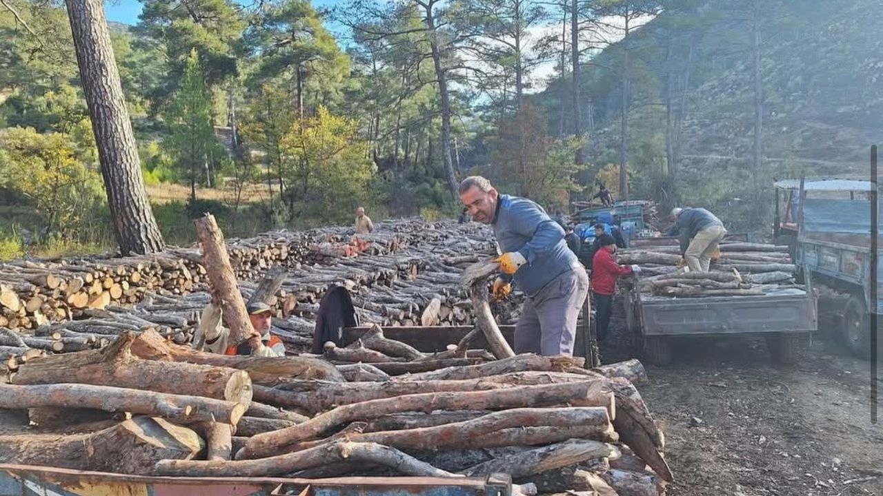 Sarıbelen’de yakacak odun dağıtımı tamamlandı