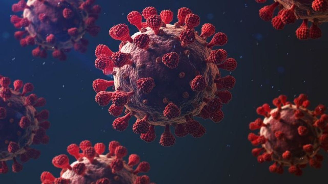 Hindistan’daki Nipah vakaları Asya’yı alarma geçirdi