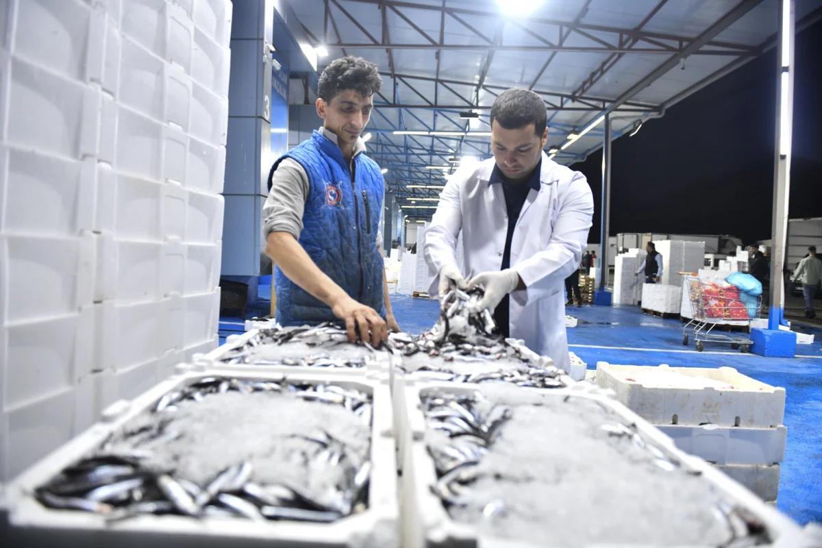 ABB’den Balık Hali’nde sıkı denetim