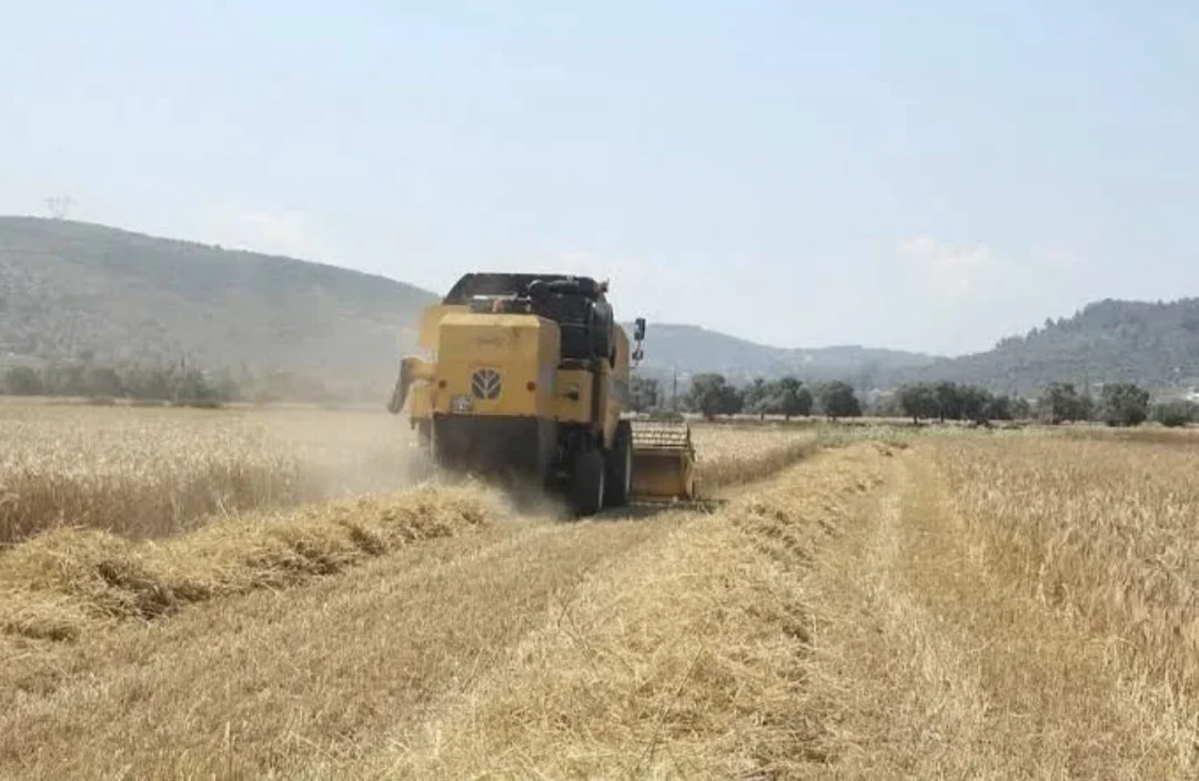 Tarım-ÜFE ağustosta yüzde 0,93 geriledi